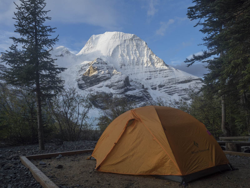 Room with a view