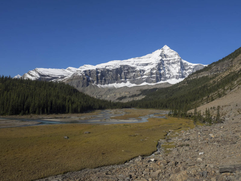 Whitehorn Mountain