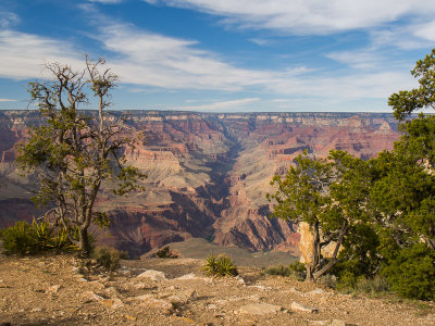 Grand Canyon