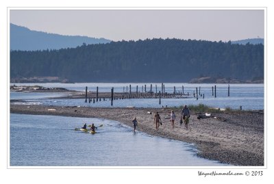 dsc_8768f_std.jpg
