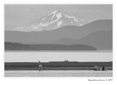 dsc_8787-2f_std.jpg