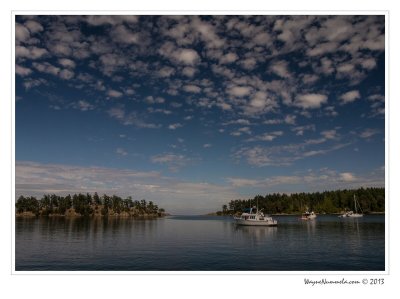 dsc_8807f_std.jpg