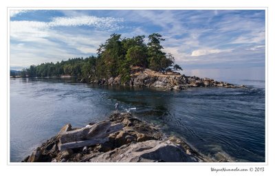 dsc_8829f_std.jpg