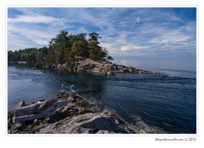 dsc_8832f_std.jpg