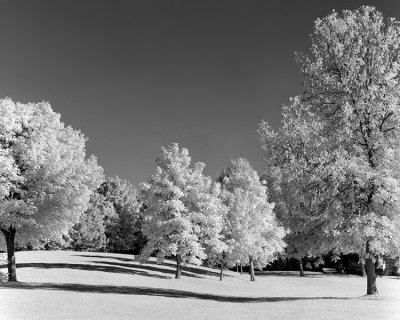 Centrepointe Park