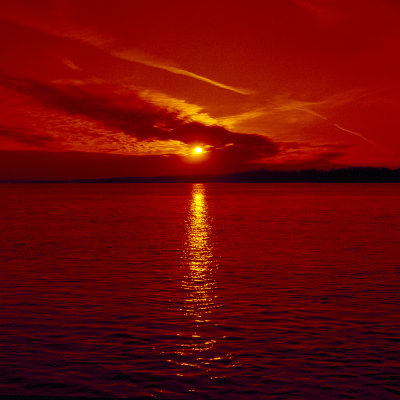 Redscale Sunset