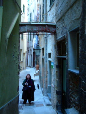 You are in a maze of Alleys all alike...Vernazza, Cinque Terre