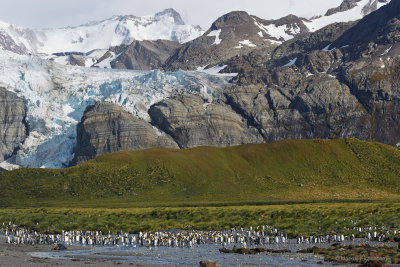 Glacier, greens and Penguins, what more can we ask for
