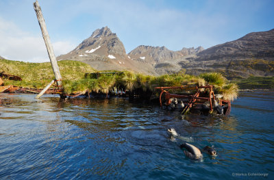 and a new crew on board, the seals