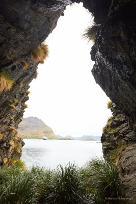 View from a cave near Grytviken