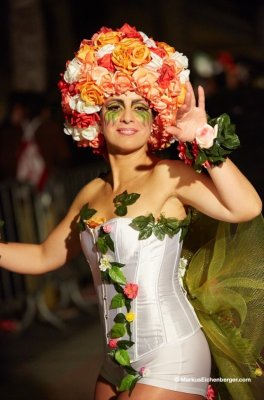 E SITGES CARNAVAL NOCHE IMG_8127.jpg
