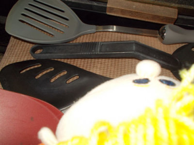 DSCN0045038.jpg