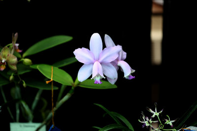 IMG_1342 copy.jpg