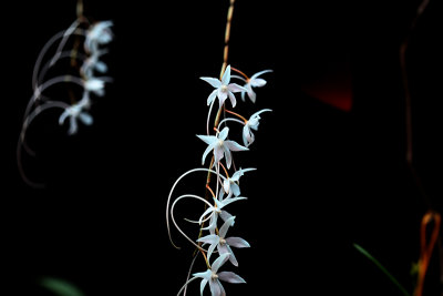 IMG_1429 copy.jpg