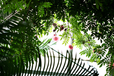IMG_1466 copy.jpg