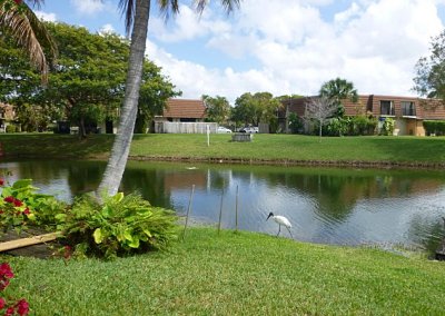 woodstork