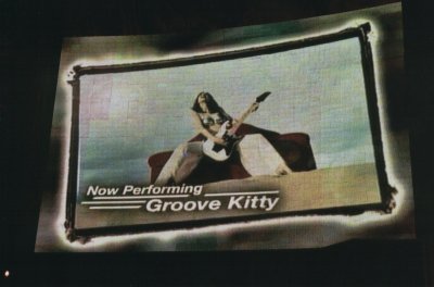 213.Groove Kitty.jpg