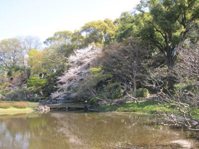 Japan April 2014 (Sakura)