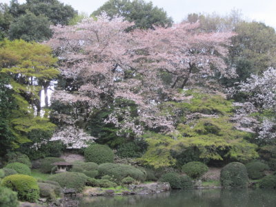 Imperial Palace Tokyo