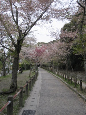 Philosphers Walk 