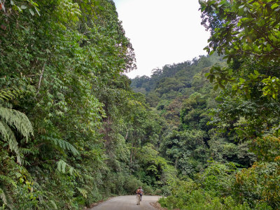 Tapan Road