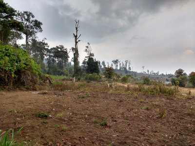 Cleared forest at the base of Gunung Kerinci