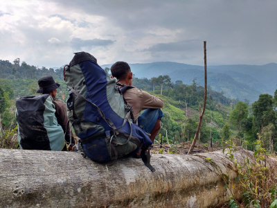 Gunung Kemiri forest clearance