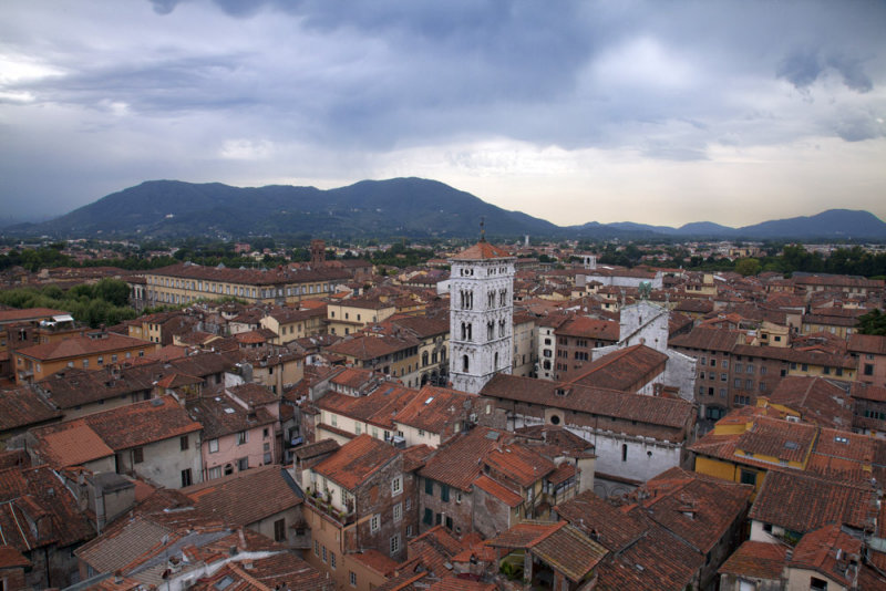 The roof tops of Lucca