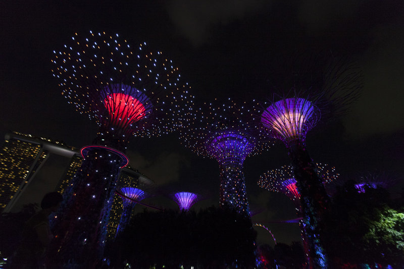 Gardens By The Bay - Singapore