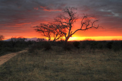 Kruger Sunset - South Africa