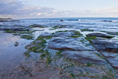 Northumberland Coast