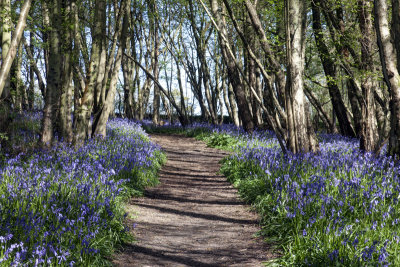 Heaven Farm - Sussex