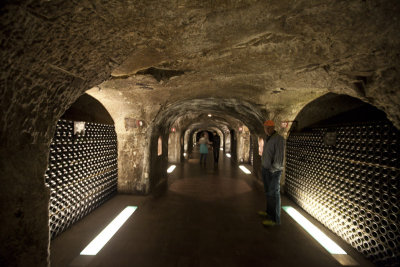 Moet & Chandon caves; 24km of tunnels full of champagne!