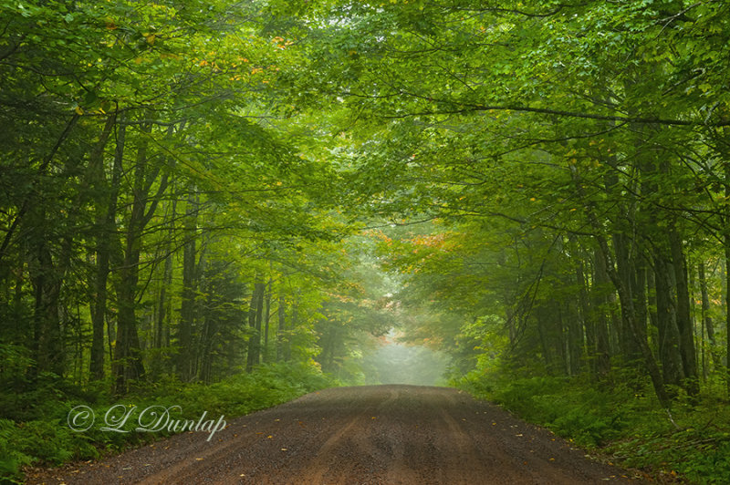 83.8 - Sawtooth:  Heartbreak Hill, First Signs of Autumn 