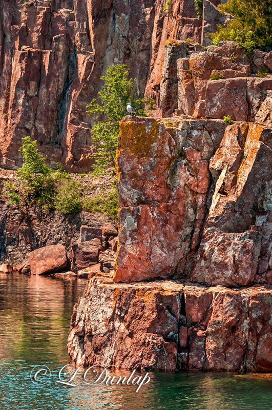 49.37 - Lake Superior: Seagull Surveying From His Rock, Vertical 