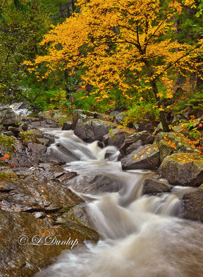 10.1 - Duluth: Tischer Creek Narrow Cascade, Autumn