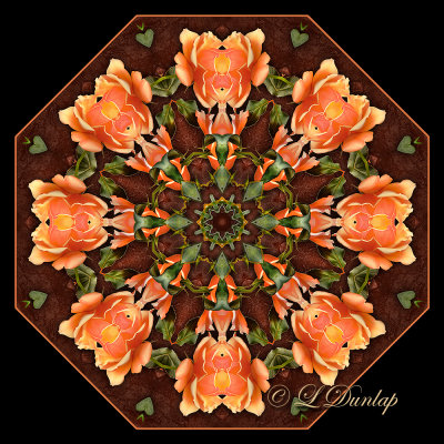 30. Peach Rose Kaleidoscope