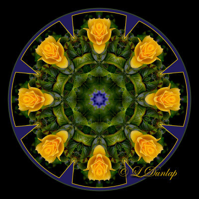 22. Yellow Rose Kaleidoscope One With Border (Variation of #10)