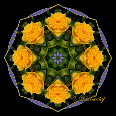 Rose Kaleidoscopes