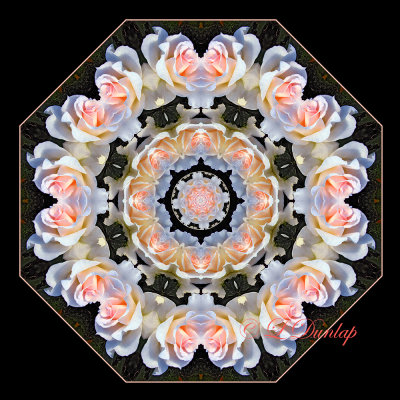 24. Pastel Roses Kaleidoscope