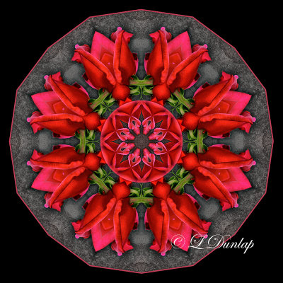 26. Red Rose Kaleidoscope On Stone 2