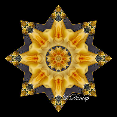 11. Gold Rose On Gray Kaleidoscope One (True Color)