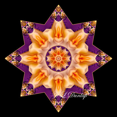 9. Gold Rose On Purple Kaleidoscope One (Variation of #11)