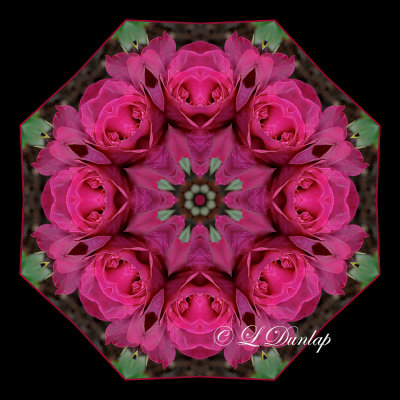 35. Deep Purple Rose Kaleidoscope
