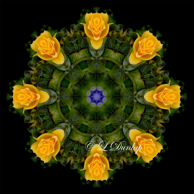 21. Yellow Rose Kaleidoscope One (No Border)