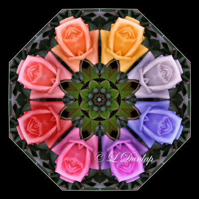 41. Rainbow Roses Kaleidoscope