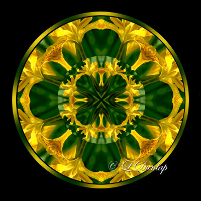 ** Yellow Iris Kaleidoscope