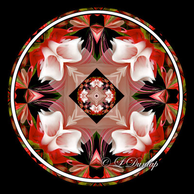 * Fuchsia Kaleidoscope