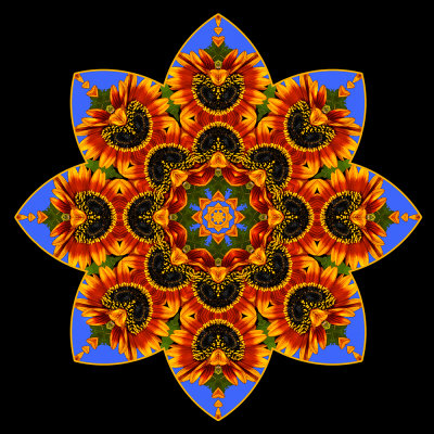 ** Red Sunflower Against Sky Kaleidoscope 