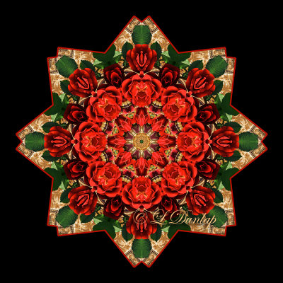 3. Holiday Rose With Gold Design Fabric 5 Kaleidoscope